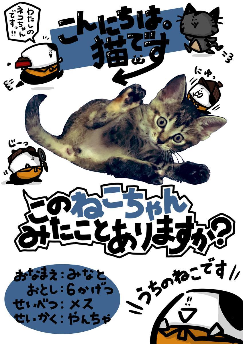 かわいい動物画像 エレガントゆるい 猫 イラスト 手書き